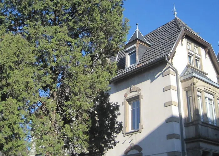 Appartement Colmar Centre Le 4