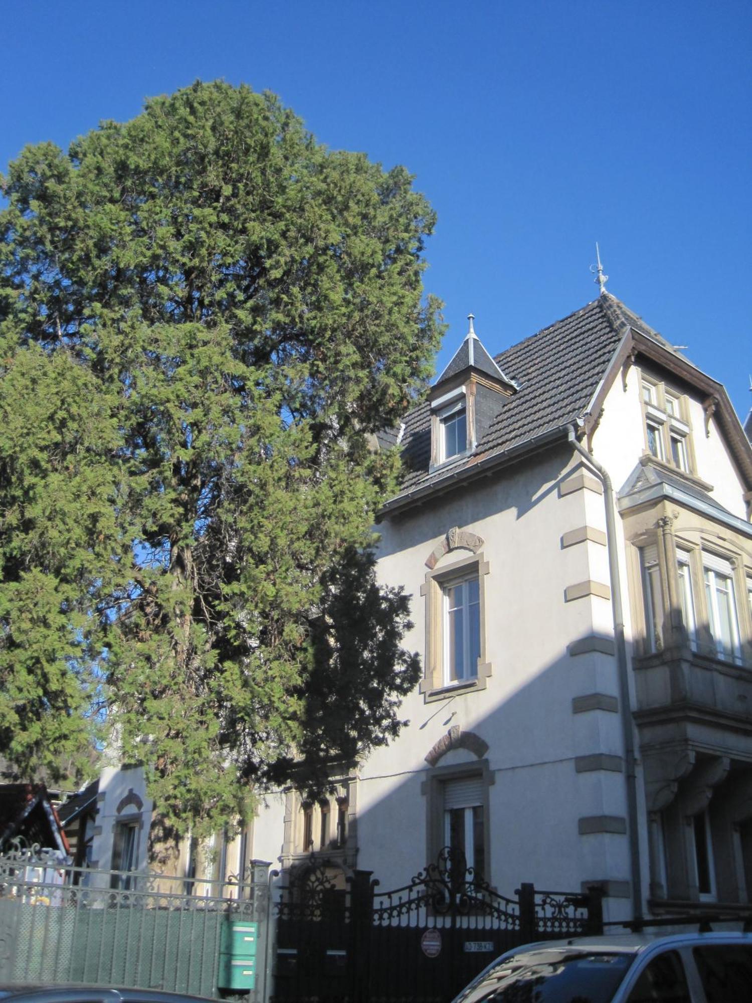 Apartamento Centre Le 4